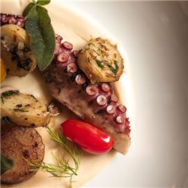Braised Octopus and Scallops